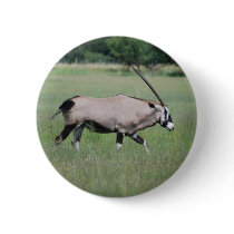 Peaceful antelope pin