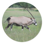 Peaceful antelope stickers