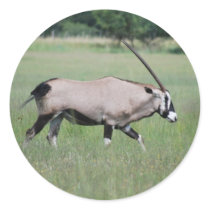 Peaceful antelope stickers