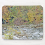 Peaceful Area In The Middle of the Woods mousepads