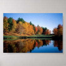 Peaceful Autumn In Vermont Posters