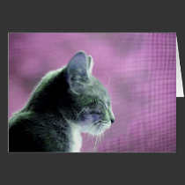 Peaceful Cat in Purples cards