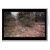 san, jose, cali, california, tree, trees, bushes,