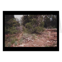 peaceful cliff cards by sumiko peaceful cliff cards