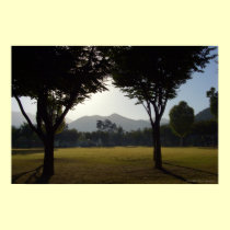 Peaceful day posters