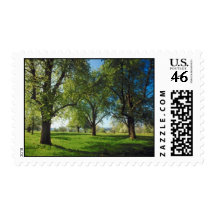 Peaceful Day Stamps