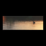 Peaceful Duck Canvas canvas prints