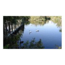 Peaceful Ducks posters by TJunkers Peaceful Ducks posters