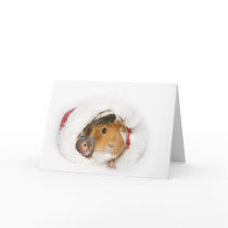 Peaceful Holiday Greeting Card