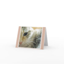 Peaceful Kitty Blank Note Card