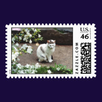 Peaceful Kitty Stamp