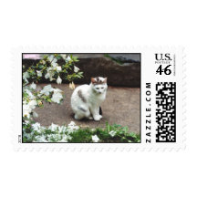 Peaceful Kitty Stamp