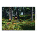 Peaceful Moment cards