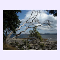 Peaceful Moments posters
