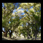Peaceful Path posters