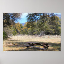Peaceful Picnic Table in NM Mountains Poster Print