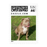 Peaceful Pit Bull postage