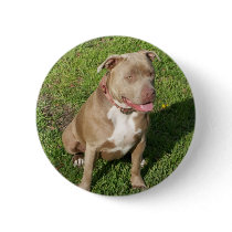 Peaceful Pitbull Pinback Buttons