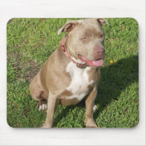 Peaceful Pitbull Mousepads