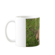 Peaceful Pitbull Coffee Mugs