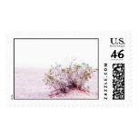 peaceful postage postage