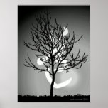 Peaceful Radiance/Tao 道 Harmony (TBA) posters