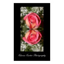 Peaceful Reflections posters