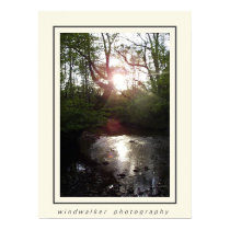 Peaceful Rest posters by windwalker Peaceful Rest posters