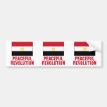 Peaceful Revolution Bumper Stickers