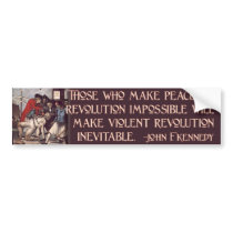 Peaceful Revolution or Violent Revolution? bumper stickers