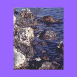 Peaceful Rocky Shore Scene Canvas Print canvas prints