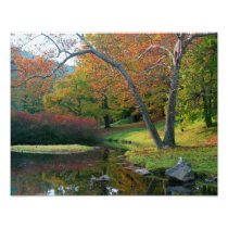 Peaceful Scene Photographic Print