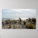 Peaceful Setting Posters