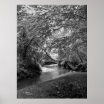 Peaceful Stream Poster