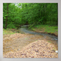Peaceful Stream Poster
