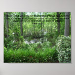 PEACEFUL SWAMP POSTERS