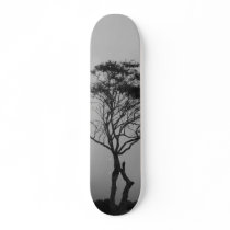 Peaceful Tree skateboards
