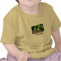Peaceful Tshirts