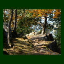 Peaceful Woodland Path Nature Poster posters