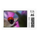 Peacefulness Postage Stamp