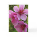 peach blossom cards