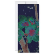 Peach Blossom Dream rack cards