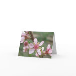 Peach Blossom Note Card
