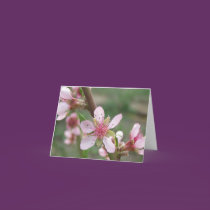 Peach Blossom Note Card