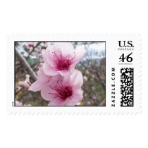 Peach Blossom postage