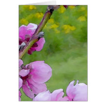 Peach Blossoms 1 Greeting Cards