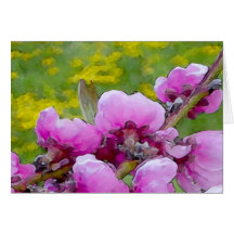 Peach Blossoms 2 Card