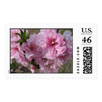 peach blossoms II postage