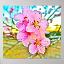 Peach Blossoms Posters