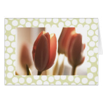 Peach Blush Tulips, cards stickers postcards